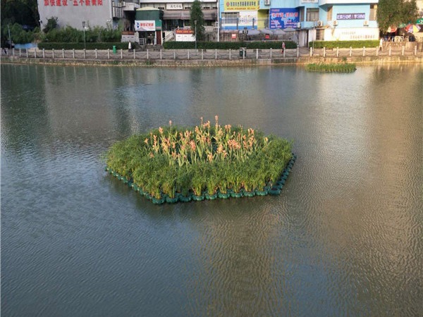 城區生態(tài)浮島效果圖 (6)