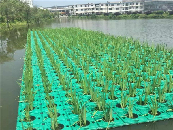 生態(tài)浮島施工