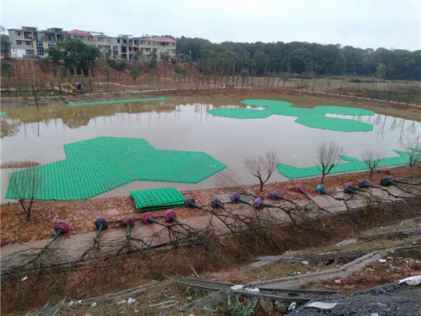 生態(tài)浮島安裝 (5)