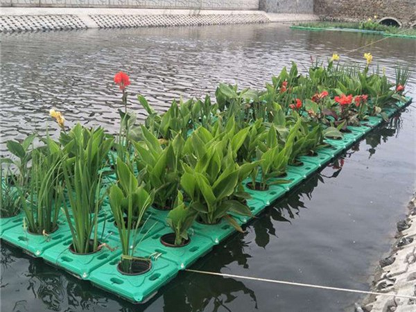 河道生態(tài)浮島效果圖